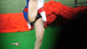 p26536468de85f04a345