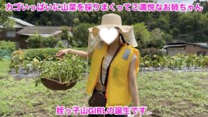 p26646568f8ebe3c74c4