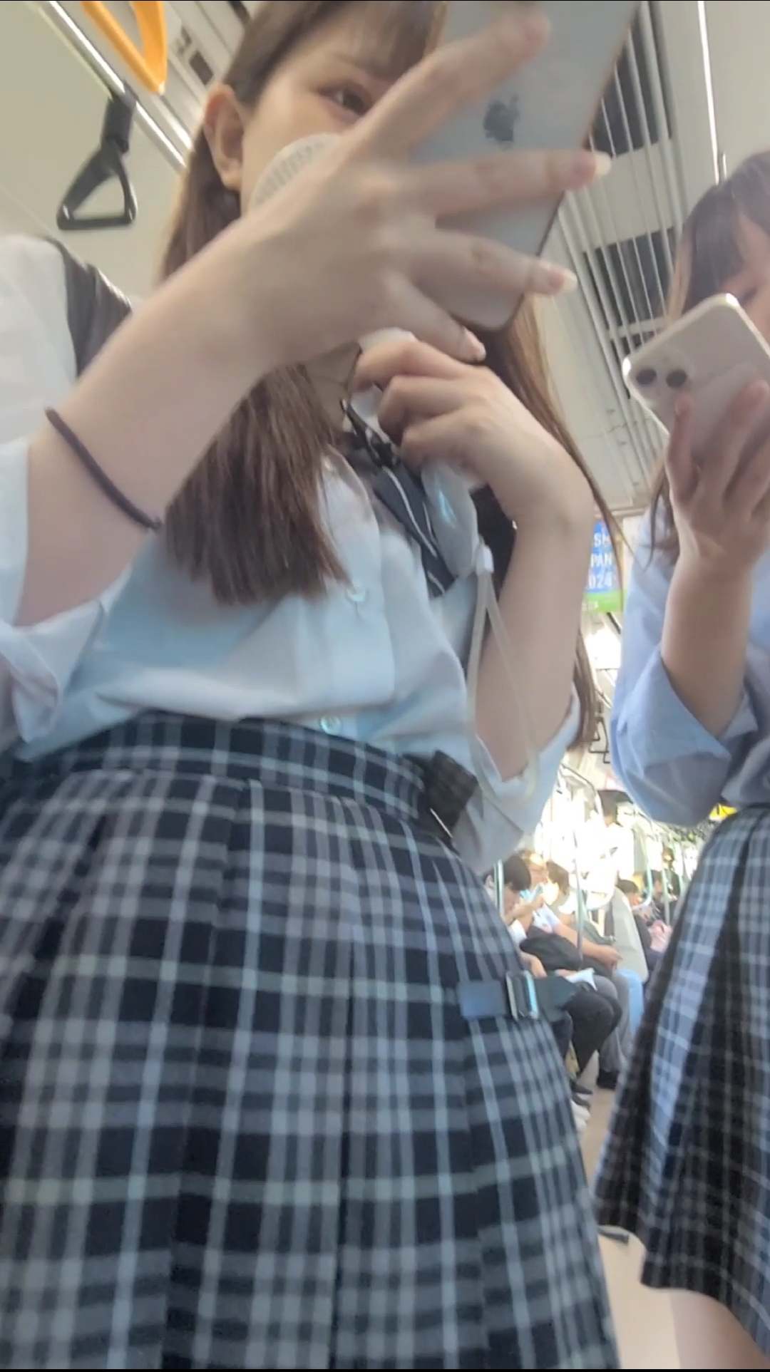 pal71633