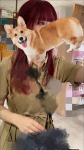 DQZM7nzYGrKDNXG4zpt