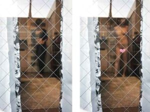 p1181285f564d9c0a039