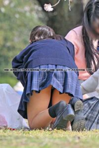 p26620068f1e95982703