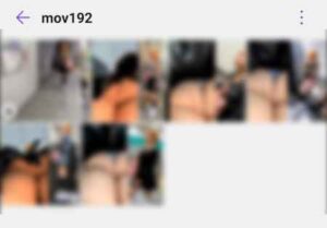 pal86272