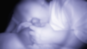 D1q91WHLaNS74zuEqgsbUyq