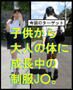 p20128063c4b534912c6