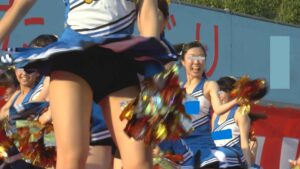 p249463676904fc03ae3