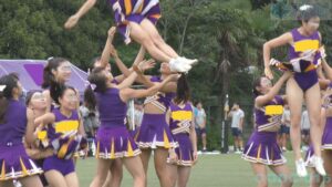 p25384267d1b23855c10