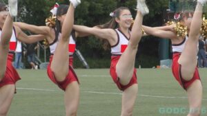 p25384267d1b23855c10