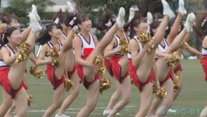 p25384267d1b23855c10