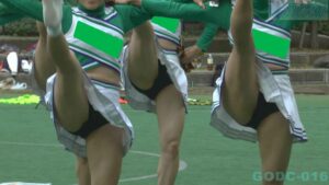 p25384267d1b23855c10