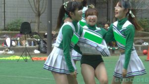 p25384267d1b23855c10