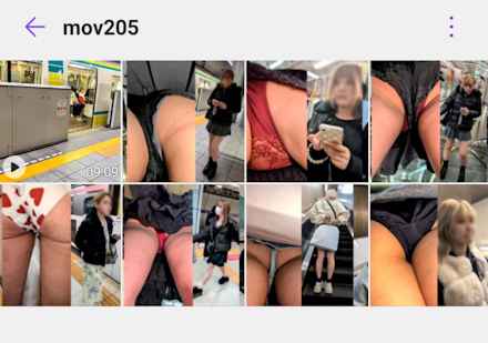 pal88439