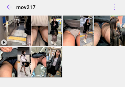 pal91446