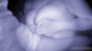 HDCqPCt6MmVkzGmRd2LtSW9