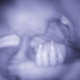 n11uvSVsSxpzhTvf1bZ6y3D