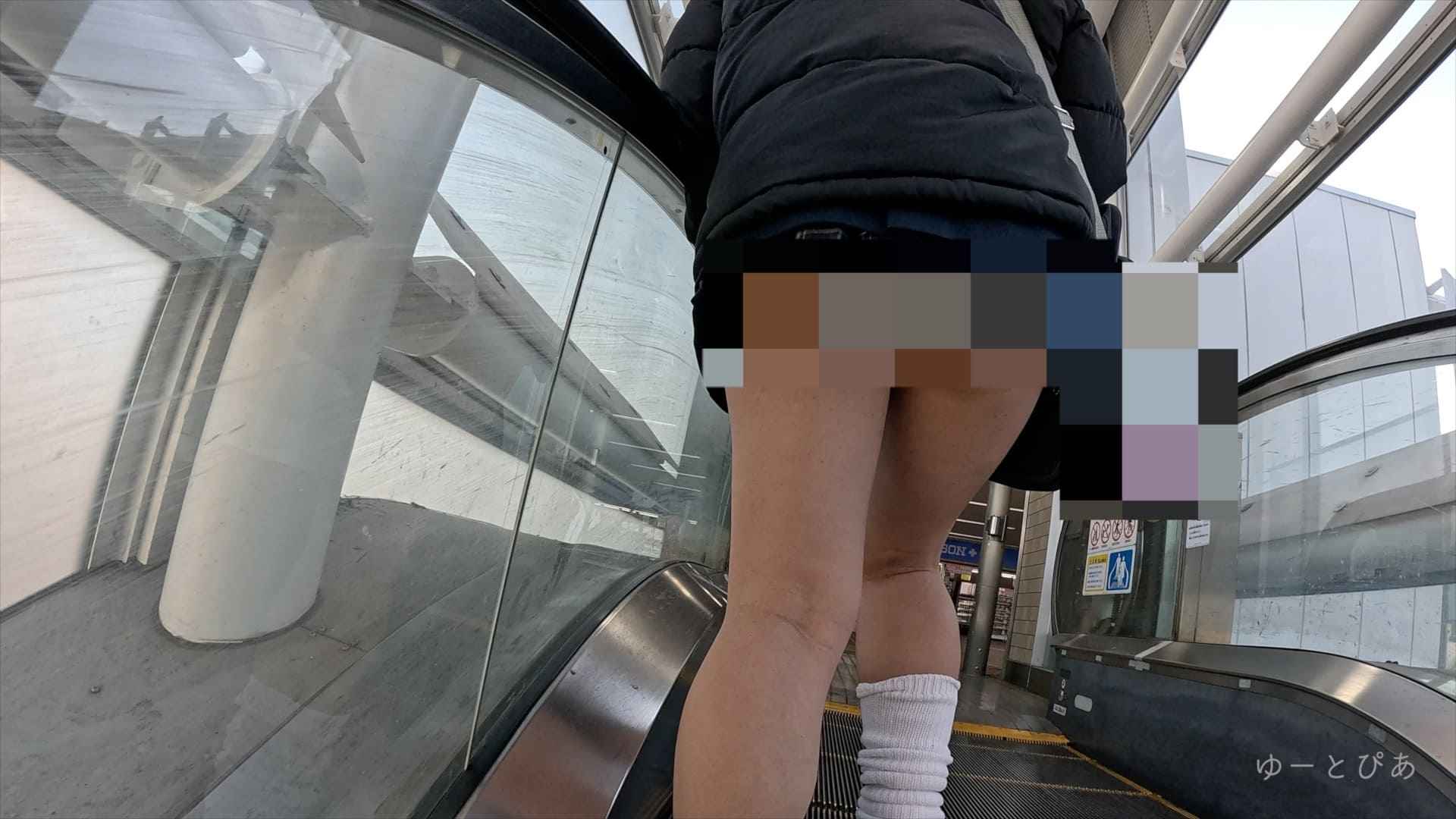 pal91634