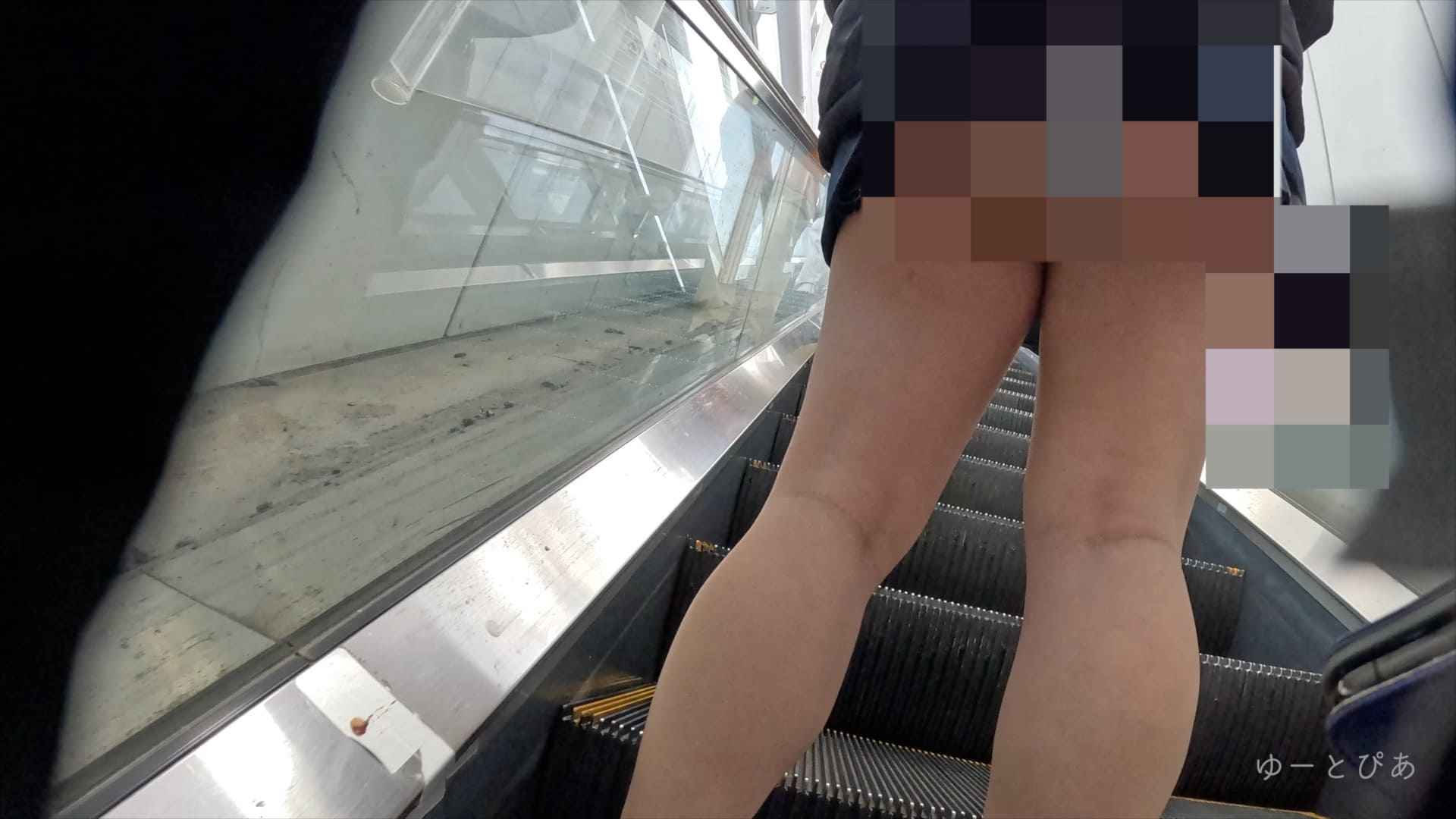 pal91634