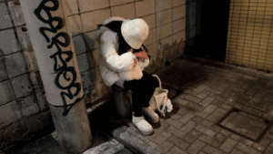 p27496169c80a386b981