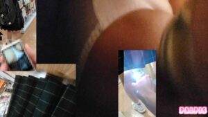 pal96634