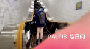 pal96952