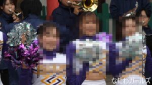 p27047069569f3bafb4e
